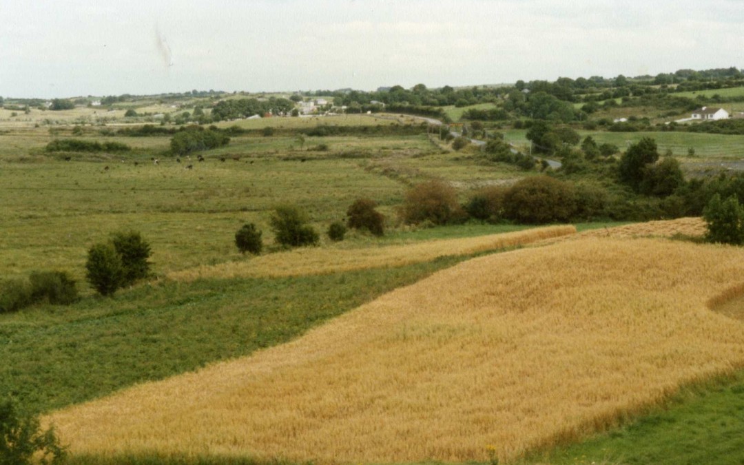 The Future of Rural