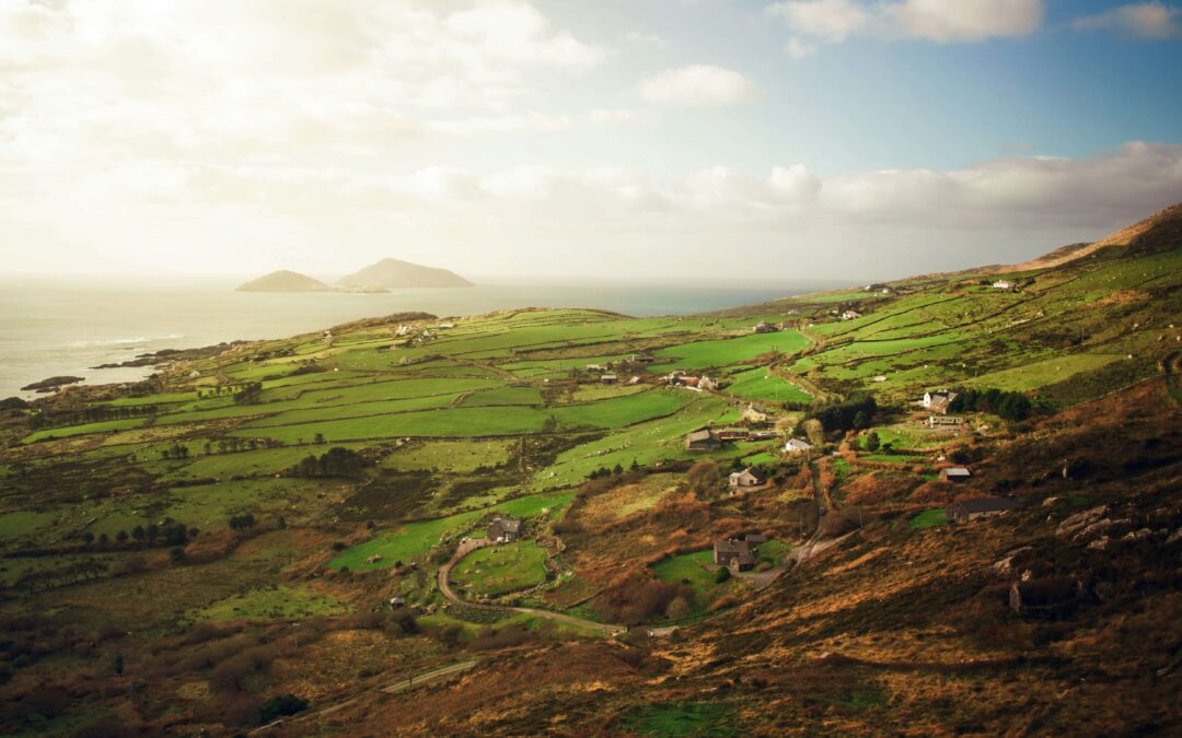Rural Resilience